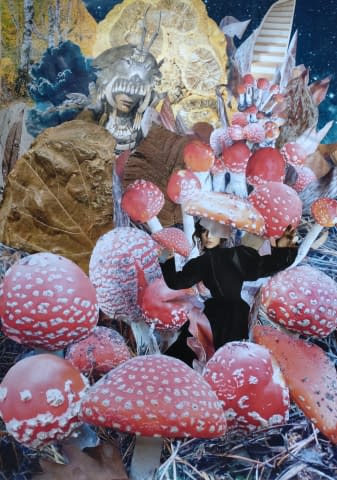 Image 1 of the artwork "Amanita" by Rita Rozynek on art24