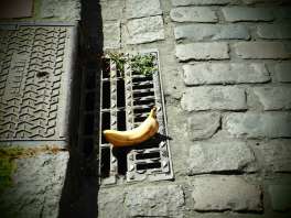 Die sonnige Banane